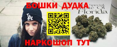 МДПВ Кингисепп