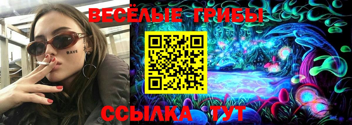 Псилоцибиновые грибы Psilocybe  Вход с VPN  продажа наркотиков  Знаменск  Галлюциногенные грибы прущие грибы 
