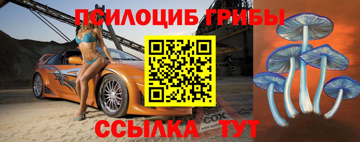 Галлюциногенные грибы Psilocybe Знаменск